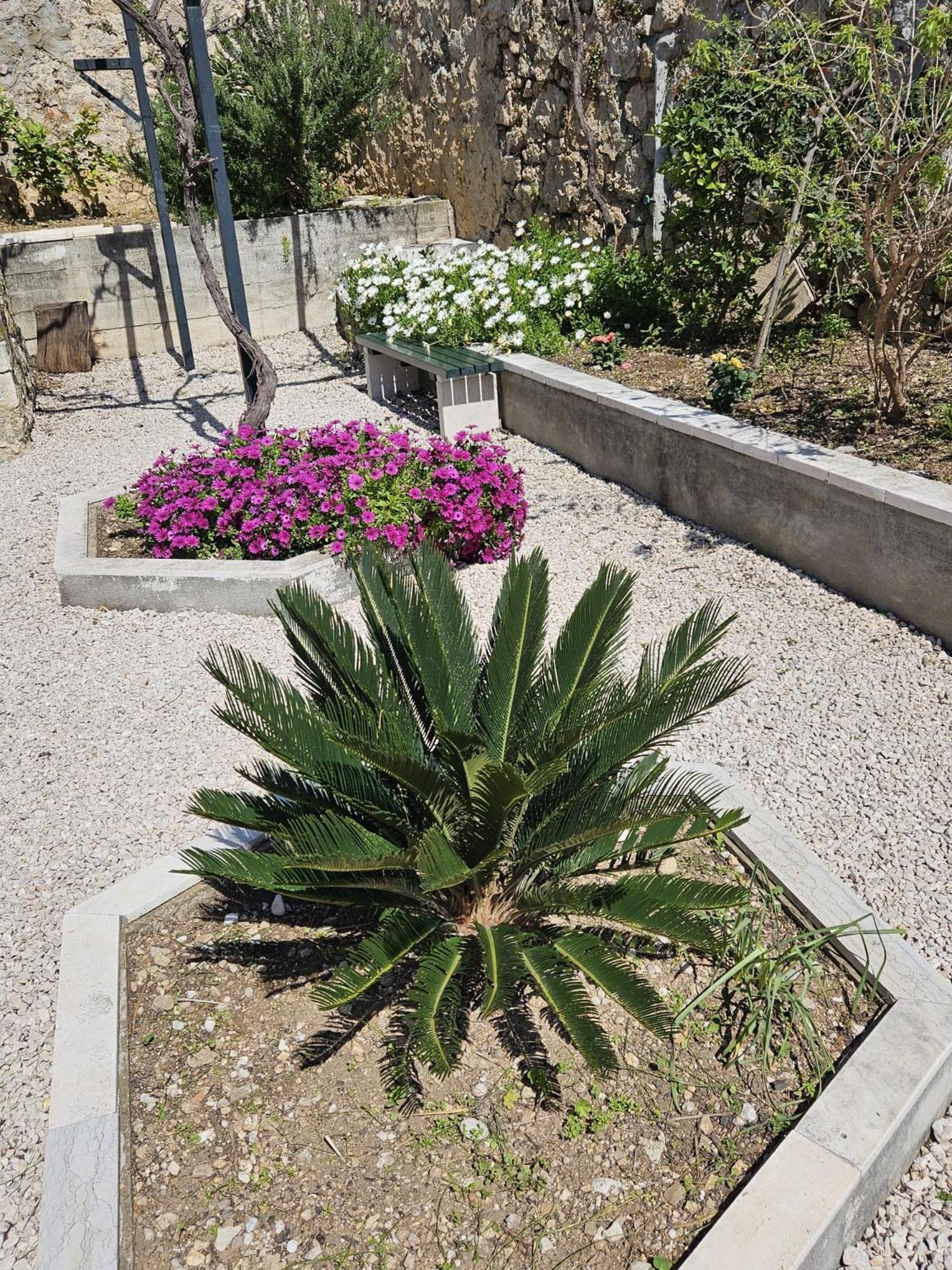 Apartment Marija Close To Old Town Dubrovnik Bilik gambar